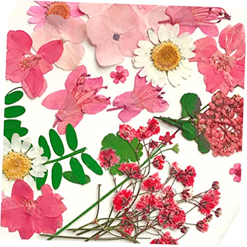 Kit artesanal 30 piezas flores secas prensadas miniatura 5