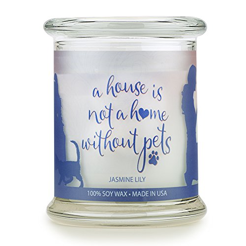 Are Scented Candles Toxic For Dogs?