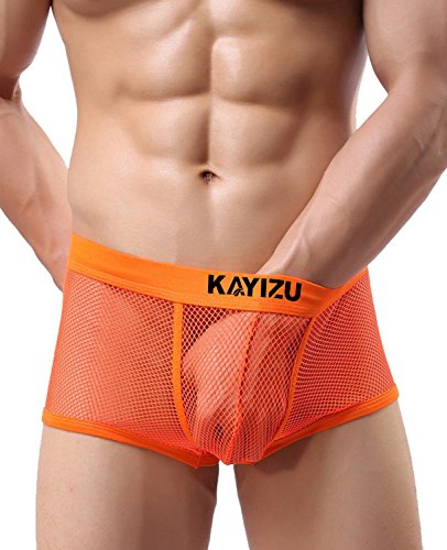 KAYIZU Men's Underwear, Brand Sexy Mesh Boxer Transparent Perspective Medium (4-Pack)