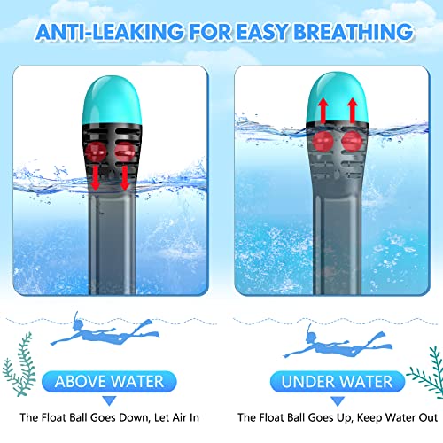 Full Face Snorkel Mask for Adults Teen, Snorkeling Gear with Detachable Camera Mount,Panoramic 180° View, Anti-Fog Anti-Leak Snorkling Set for Man and Women (Black Green-L/XL)