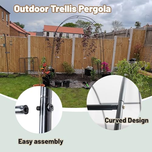 Arche de jardin pour rosiers avec structure stable et montage facile