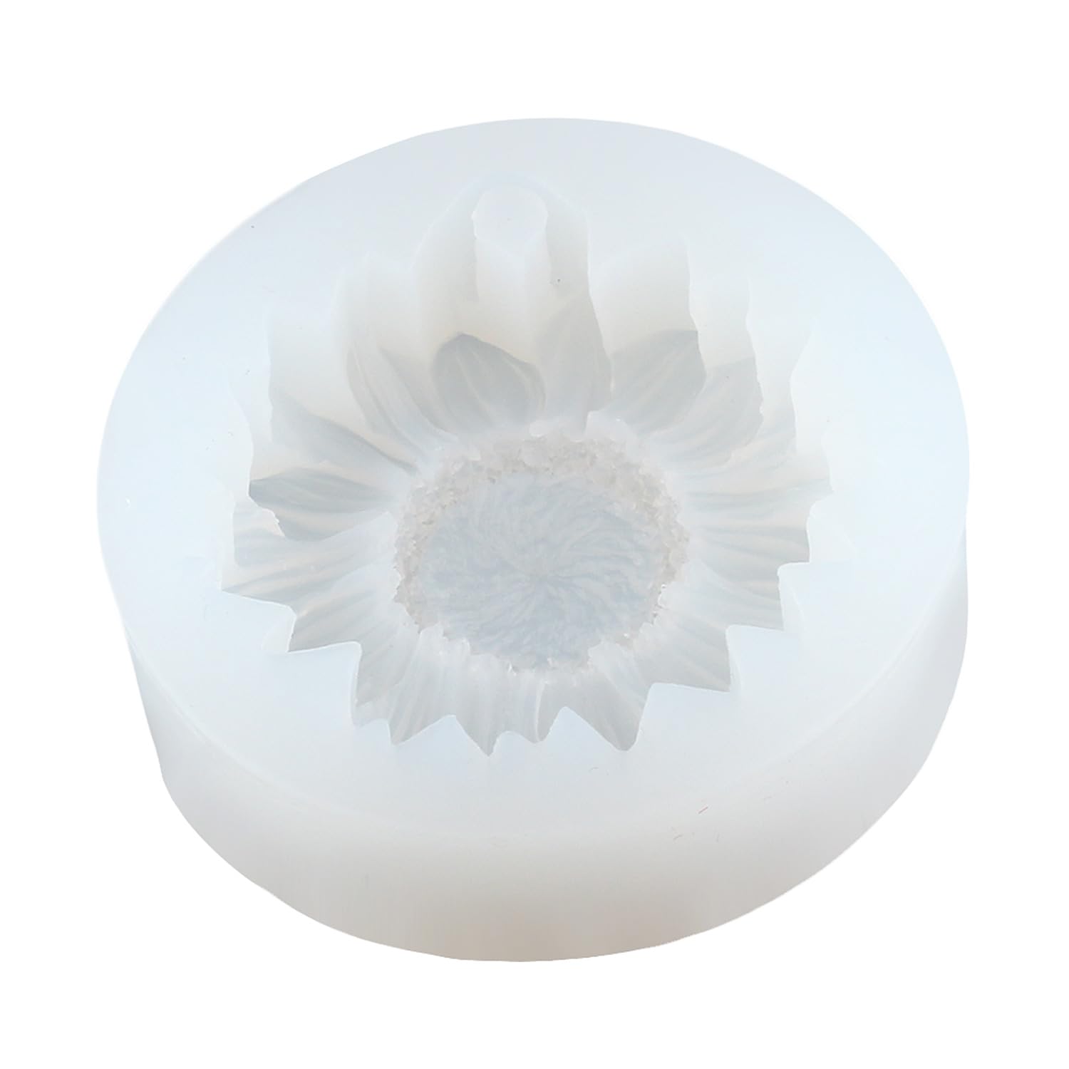 View 7
