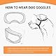 PETLESO Hundebrille Winddichte Hunde Sonnenbrille Hund Schutzbrille mit Verstellbare Band Geeignet für Mittelgroße bis Große Hunde-Clear