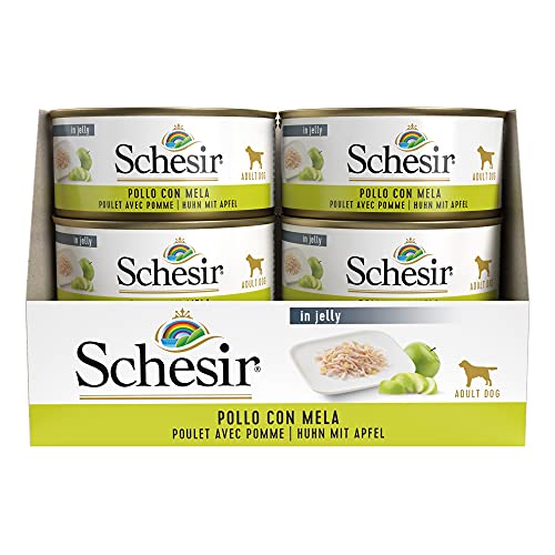 Schesir, Comida húmeda para Perros Adultos, Sabor Pollo con Manzana Preparado con filetes en gelatina con Verdaderos trozos de Fruta - Total 2,7 kg (18 latas x 150 gr) 2 SCHESIR DOG: ideala para perros adultos; es un alimento completo y equilibrado que pertenece a la línea comida húmeda
ALTAMENTE DIGERIBLE: desde el punto de vista nutricional, su fórmula fue aprobada por el Departamento de Ciencias médicas veterinarias - Alma Mater Studiorum Universidad de Bolonia
ECOSOSTENIBILIDAD: Trazabilidad completa. El origen y los procesos de elaboración de la materia prima utilizada para la producción de los alimentos se controlan constantemente.