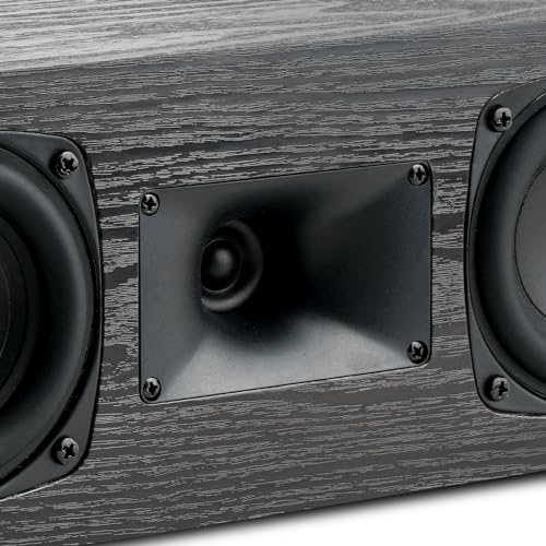 Saiyin SDS7700M-USSY Center Channel Speaker With Dual 3.5-Inch Woofers And Horn Tweeter, For Desktop Stereo Or Home Theater Surround Sound thumb #1