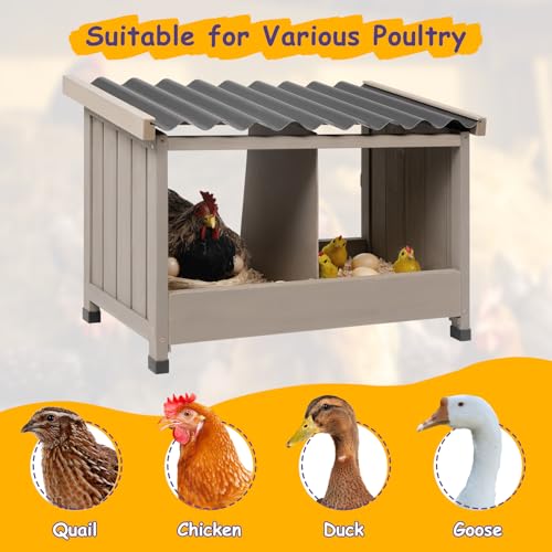 ketive Chicken Nesting Box, Wall-Mounted Wooden Chicken Coop Accessories with PVC Roofing, 3 Compartments for Hens & Ducks Outdoor or Indoor Use (2 Compartments)