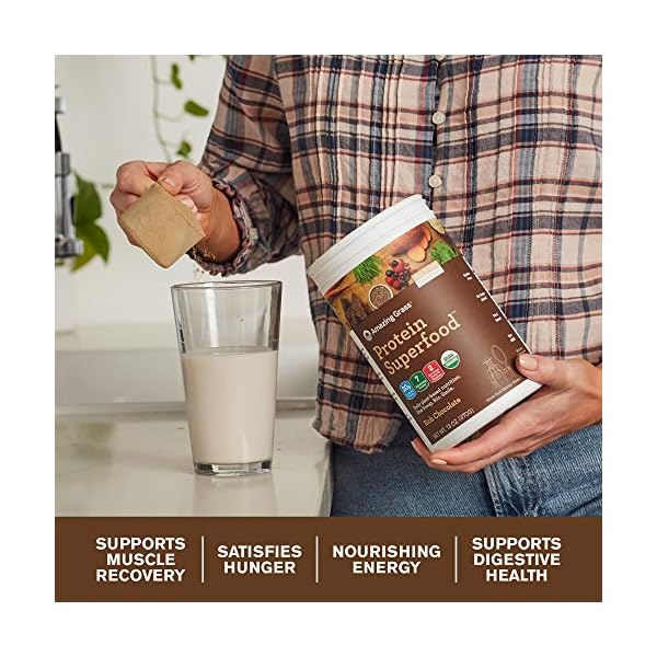 Amazing-Grass-Protein-Superfood-Vegan-Protein-Powder-All-in-One-Nutrition-Shake-Rich-Chocolate-18-Servings Amazing Grass Vegan Protein Superfood, All in One Nutrition Shake with Beet Root Powder, Rich Chocolate, 22.9 Oz