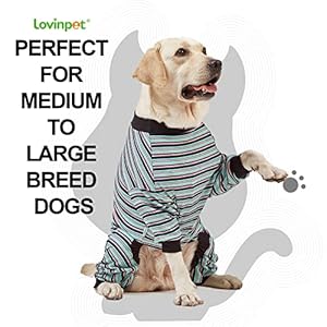 Lovinpet Large Dog Pajamas Pjs  Cotton Multicolor Stripe Dog Shirt Full Body 999 Cotton Dog Onesie Large Breed Dog Jammies Pet Pjs 3xl  Cucciolini Doodles Lovinpet large dog pajamas pjs  cotton multi color stripe dog shirt full body 99 9 cotton dog onesie large breed dog jammies pet pjs 3xl   cucciolini doodles