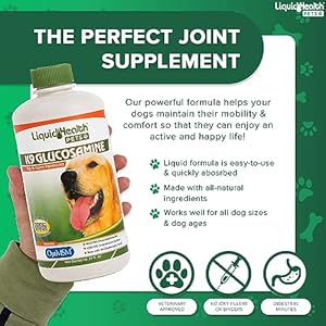 LIQUIDHEALTH 32 Oz K9 Liquid Glucosamine for Dogs, Puppies and Senior Canines - Chondroitin, MSM, Hyaluronic Acid – Joint Health, Dog Vitamins Hip Joint Juice, Dog Joint Oil LIQUIDHEALTH 32 Oz K9 Liquid Glucosamine for Dogs, Puppies and Senior Canines – Chondroitin, MSM, Hyaluronic Acid – Joint Health, Dog Vitamins Hip Joint Juice, Dog Joint Oil