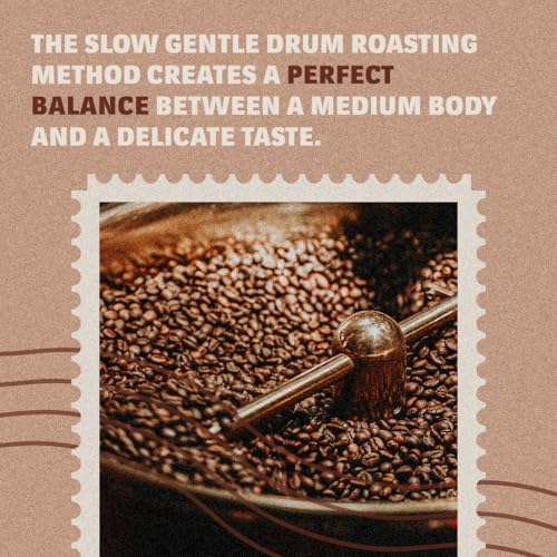 Image of Lavazza Tierra Selection | Whole Roasted Bean Espresso| Traditional Drum Roasting| 1Kg Pack (Pack of 2)