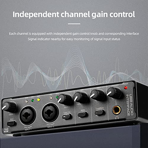 Image of Depusheng RX2 usb audio interface computer recording sound card, home studio audio interface, can connect 48V condenser microphone, guitar recording
