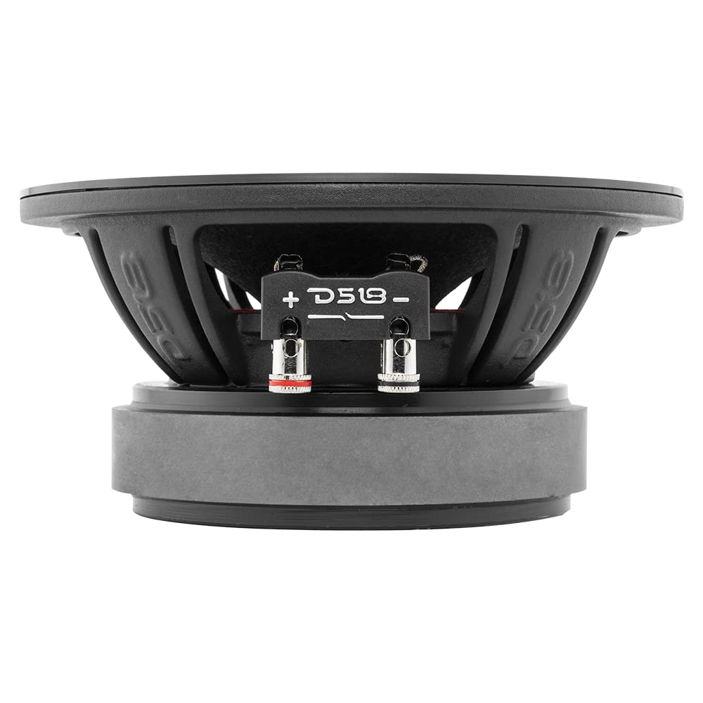 DS18 1 PRO-ZXi6M mid-range diffusore da 16,5 cm 165 mm 6,5", 300 watt rms 600 watt max, impedenza 8 ohm, sensibilità 97 db spl, party, cassa acustica, casa, 1 pezzo