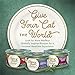Purina Fancy Feast Wet Cat Food Variety Pack, Medleys White Meat Chicken in Sauce Collection - (Pack of 12) 3 oz. Cans