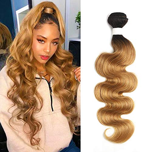 X-tress Ombre Honey Blonde Body Wave Brazilian Remy Hair Bundle Ombre Color 27 Hair Weave Human Hair Extension 100% Virgin Human Hair Weave (14 Inch, T1B/27)