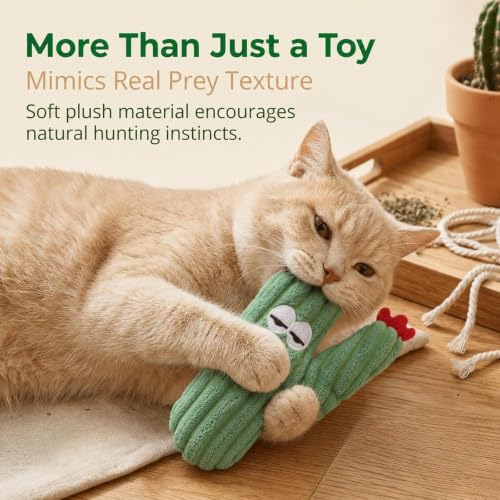 Hierba gatera para gatos de interior que juegan solos en el salón 7