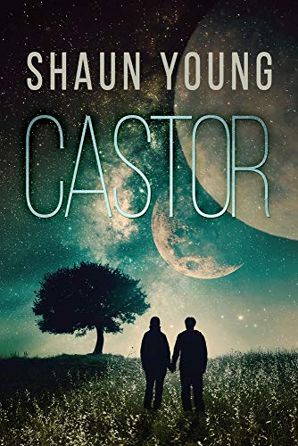 Castor view 2