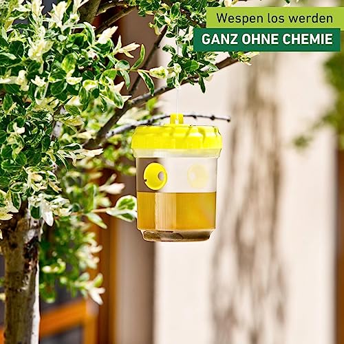 Windhager Wespen Abwehr | Wespenfalle 2 Stk. | für draußen, leicht zu reinigen | Anwendung ohne Chemie | Wespennest, Attrappe, Lockstoff, Wespennest Attrappe wetterfest, Wespenschutz
