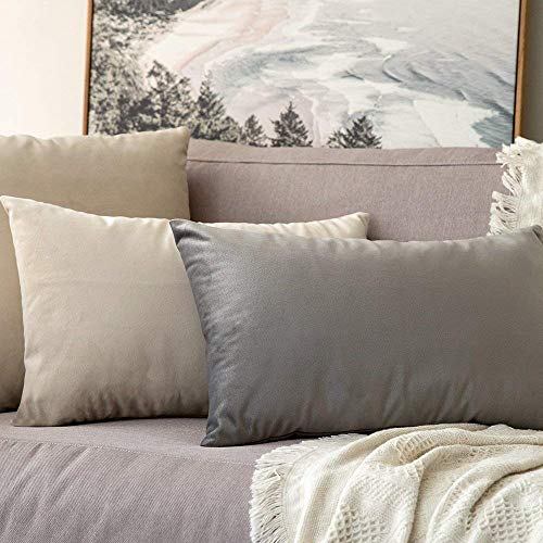 Image of Khooti Velvet Cushion Cover Pack of 1-8 inch x 12 inch / 20 x 30 cm - Light Grey - Soft Pillow Covers Cushion Case for Sofa Bedroom Livingroom Chair Car, Cushion Cover