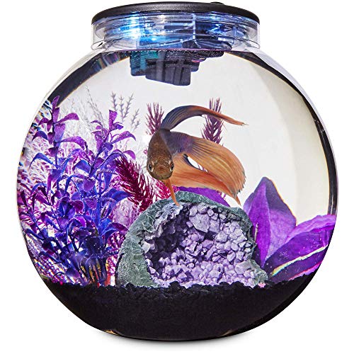 Petco Brand - Imagitarium Freshwater Globe Kit, 3.1 GAL