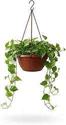 Vaso Suspenso Cuia para Plantas, 21 cm, com Alça 45 cm, Cor Areia, para Jardinagem e Decoração (Cerâmica)
