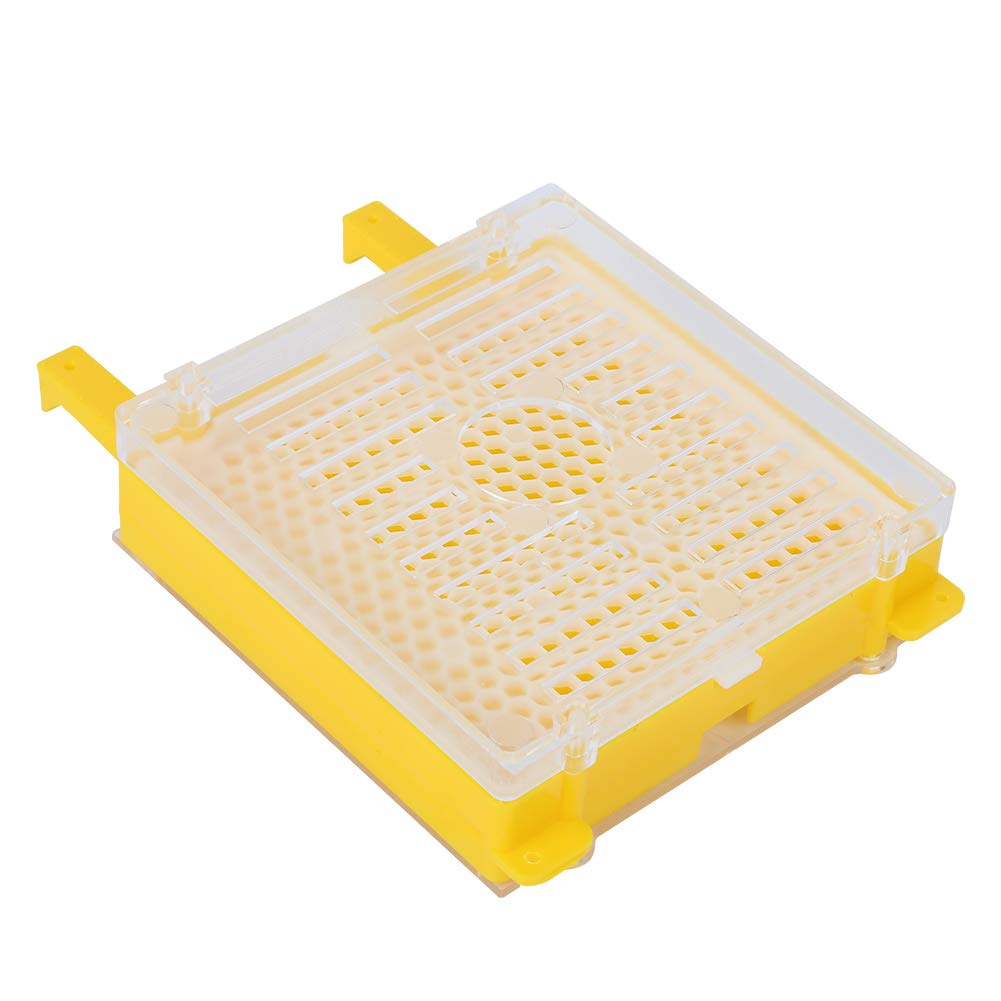 SIXRUN Kit Allevamento Regina Set Allevamento Regina in Plastica con Copertura Protettiva per Cella Pacchetto Completo per Api Installazione Semplice e Protezione Cella per Apicoltori