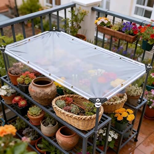 Lona de plástico transparente contra lluvia en exteriores para terraza y balcón 2
