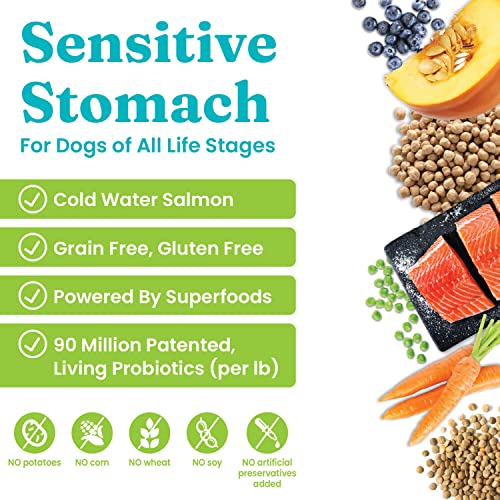 Solid Gold Leaping Waters - Dry Dog Food For Sensitive Stomach - Grain & Gluten Free - With Salmon & Vegetables - Digestive Probiotics For Gut Health - Omega, Superfood & Antioxidant Support For Dogs #TOP2