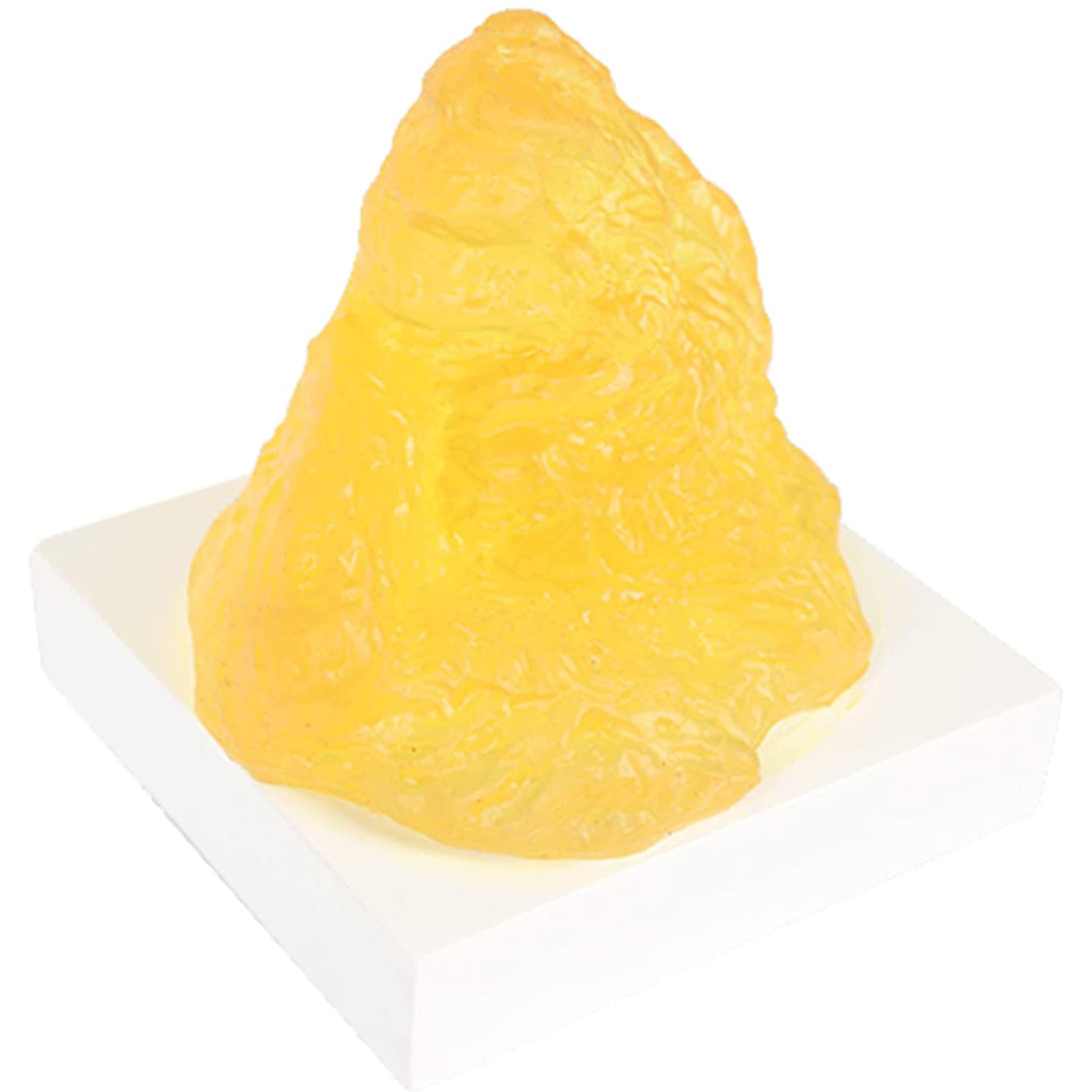 modèle anatomique, Modèle anatomique grandeur nature représentant le tissu adipeux – for nutritionnistes et étudiants en médecine (cours d'anatomie), 500 g avec socle