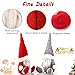 Leipple Christmas Gnome Plush Decorations - Handmade Swedish Tomte Scandinavian Santa Elf Ornaments - Gnome Christmas Decor for Home Office (Plush Gnomes)
