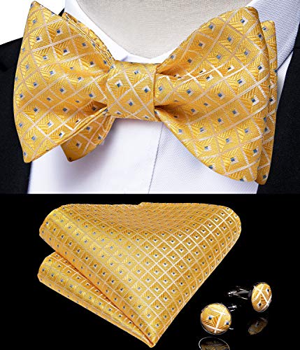 Image of DiBanGu Men Bow Tie Paisley Striped Self-Bow Tie for Men and Silk Woven Bowtie Pocket Square Cufflinks Wedding Party