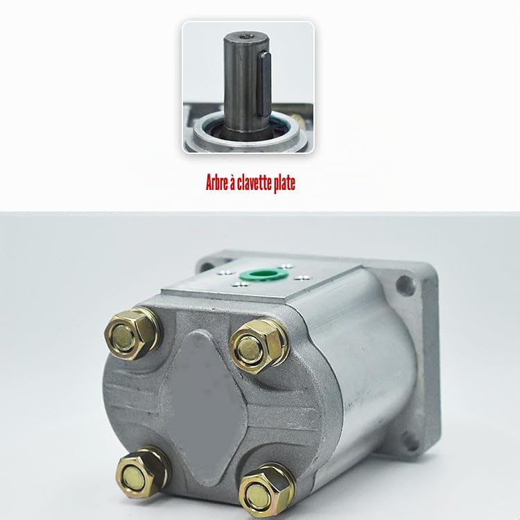 Pompe à engrenages,Pompe à huile hydraulique,Hydraulikpumpe,d'aluminium,(Flat end-Right-hand CBN-F304)