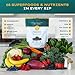 Trofi Life All-In-One Complete Nutrition Meal Shake | 90+ superfoods & nutrients, 21g Organic Fruits & Veggies, 25g Plant-Based Protein | Vegan Friendly | Best Meal Replacement Shake Powder | 35oz