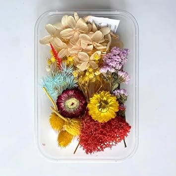 YellowCult Natural Real Dried Flowers for Art Craft – Mixed & Multicolor for Soap, Artificial Candles, Scrapbooking, DIY, Resin Jewelry, Pendant -…