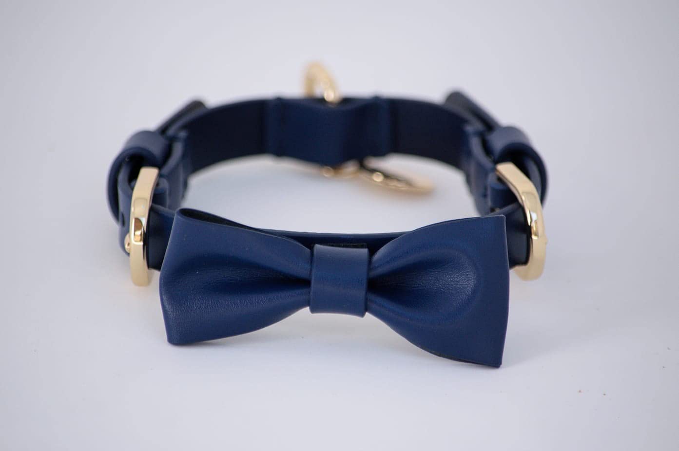 Collier en cuir petit chien pour des promenades citadines chics