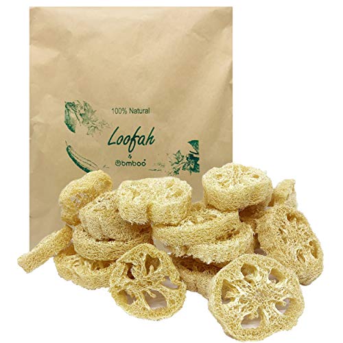 100% Natural Loofah Slices for Soap Making (20 Pack) - Luffa Slices Cuts - Loofah Kit - Organic Soap Making Products - Loofah Sponge Natural - Loofah Natural - Loofah Soap