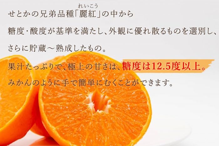 みかん はまさき 優品 4L～Lサイズ 5kg 佐賀県産 JAからつ ギフト