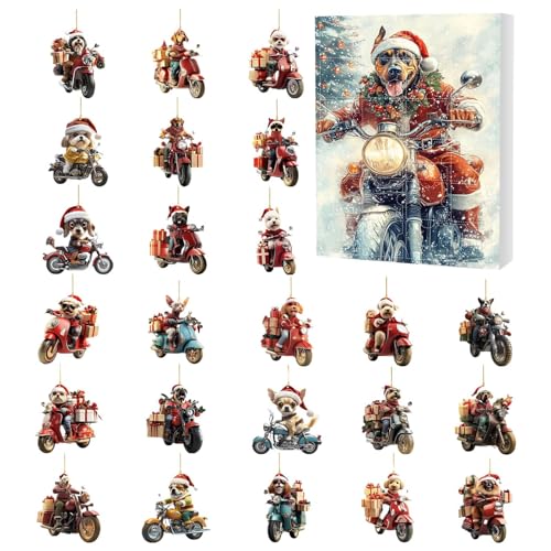 2025 NX}X Ahxg  - 24ԃJEg_EJ_[2DAN - 킢I[ig̃oCN | ƑAoP[VAƒA؁AǁAhAAAp[eB[AtFCo[Azf[