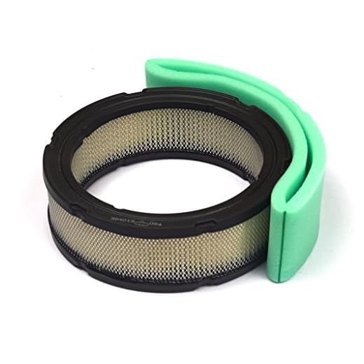 Briggs & Stratton Air Filter 5050D