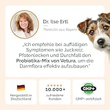 Vetura Probiotika-Mix für Hunde - 200 g - Natürliches Probiotika-Pulver - Präbiotika & Probiotika - Zur Unterstützung Einer gesunden Darmflora - Ohne künstliche Zusatzstoffe - Made in Germany
