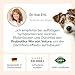 Vetura Probiotika-Mix für Hunde - 200 g - Natürliches Probiotika-Pulver - Präbiotika & Probiotika - Zur Unterstützung Einer gesunden Darmflora - Ohne künstliche Zusatzstoffe - Made in Germany