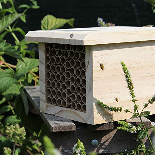INGARDO Insektenhaus aus Holz - Insektenhotel zum Aufhängen mit hochwertigen Papierrohren -Nistkasten für Bienen… – Bild 3