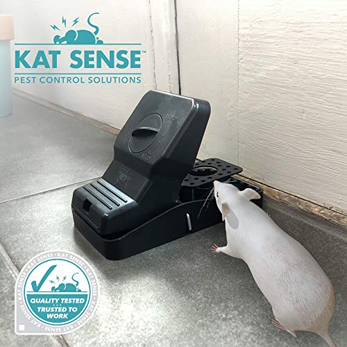Image of Pest Control Rat Traps, 6 Large Snap Traps for Mouse Chipmunks Indoor Outdoor
