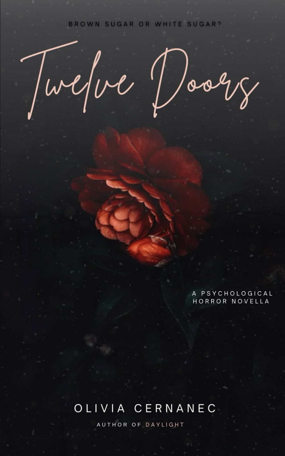 Twelve Doors: A Psychological Horror Novella (The Daylight Trilogy)