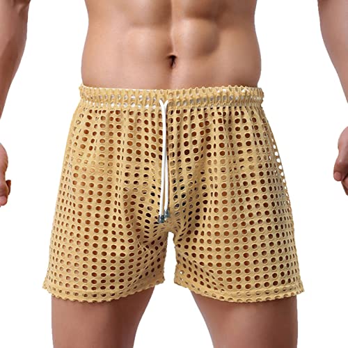 Dasongff Pantalon Filet Homme Sexy Boxer Hommes Briefs Slip sous-VêTements Nuisette Gay Erotique Transparent Taille Haute Basse Bikini Pulse Filet Elephant Underpants T-Back Underwear Shorts Résille