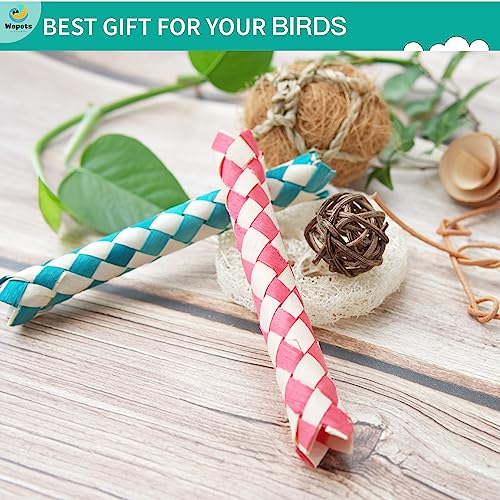 Wepets Caixa de brinquedos variados para forrageamento e papagaio para calopsitas, conures, caiques,