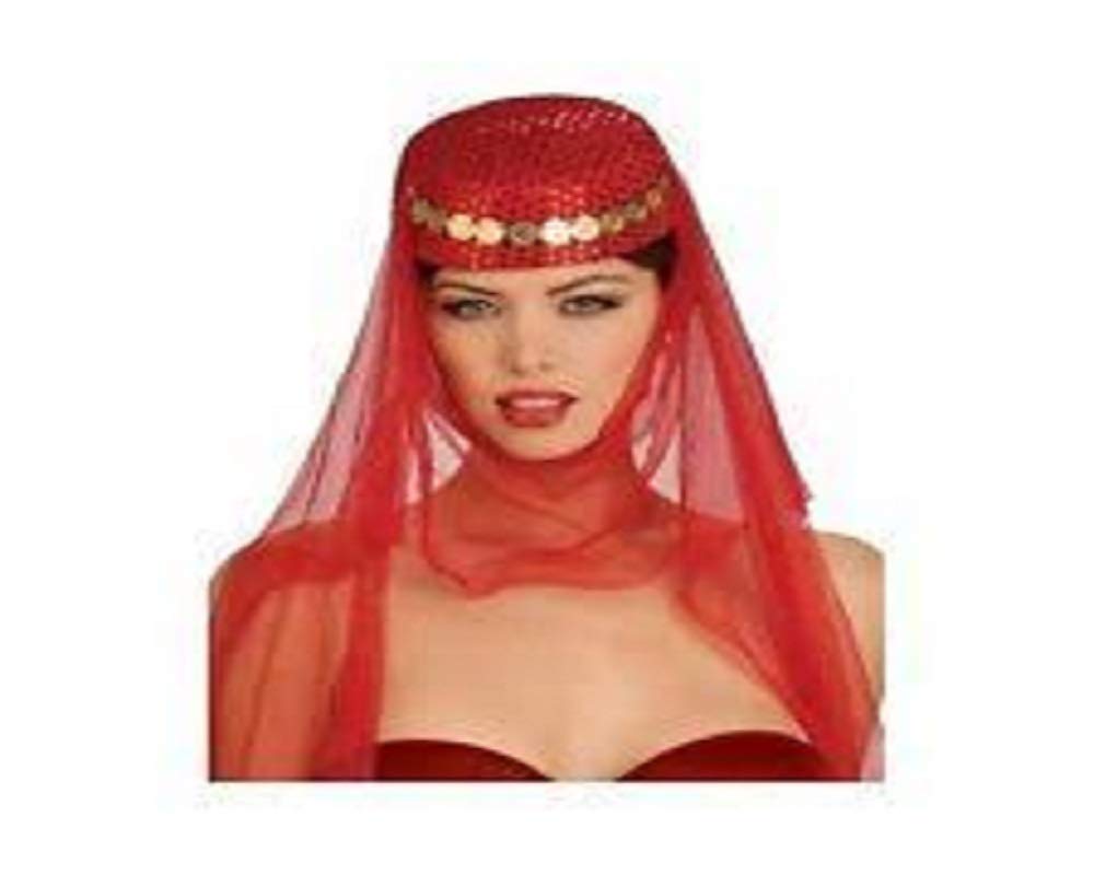 Wanna Party Arabian Harem Hat Pillbox with Veil and Coins (Red)