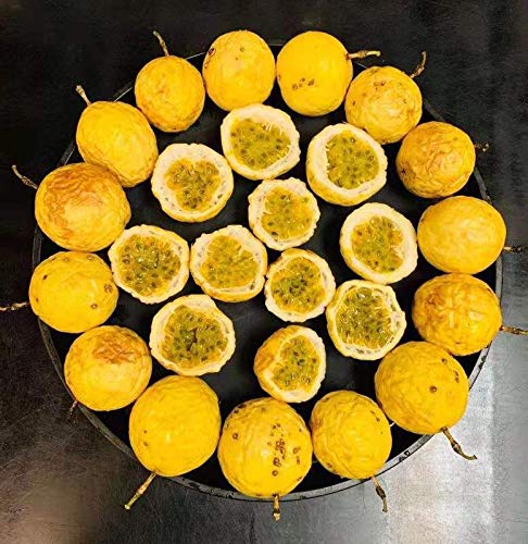 PF FARM Yellow Fresh Ripe Passion Fruit Florida No.2 (2 Dozen / 24 Counts)