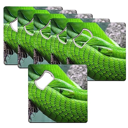 Sous-verre décapsuleur python vert protège vos tables des taches et ouvre vos bouteilles - 2