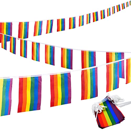 Bandera Arcoiris Hillylolly 10m Bandera del Orgullo Gay, LGBT Flag Colores Vivos, Bandera Gay Resistentes la Intemperie para Jardines, Oficinas, Desfiles del Día del Orgullo, Decoraciones de Fiestas