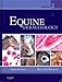 Equine Dermatology